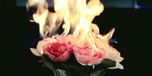 Why Valentine's Day Sucks
