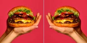 Which Foods Are Highest In Cholesterol
