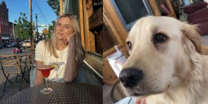 dog custody battle 
