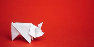 Year Of The Pig — Chinese Zodiac Personality