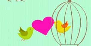 twitter birds in love