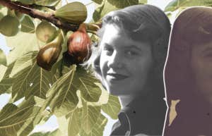 Sylvia Plath