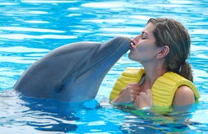 Woman swimming with dolphins in the water. 