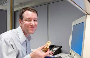 man eating sandwich while working