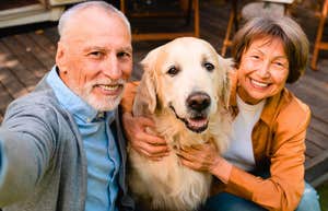 If Your Parents Seem To Love Their Pets More Than You, You Likely Notice These 11 Things