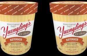 Harry Potter Fans Can Now Enjoy Butterbeer Ice Cream — And It's MAGIC!