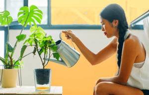 Benefits Of Having Plants In Your Home 