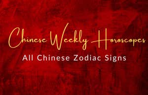 chinese zodiac sign's weekly horoscopes november 27