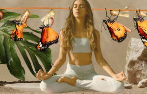 butterfly transformation