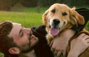 dog likes boyfriend signs dog
