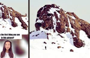 dog mountain visual test