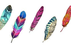 feather personality test