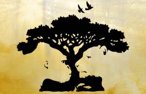 fish tree lion gorilla visual test