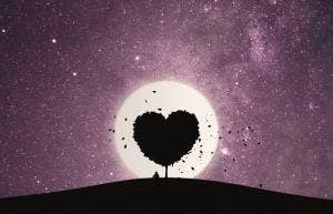 February 2021 Monthly Love Horoscope For All Zodiac Signs