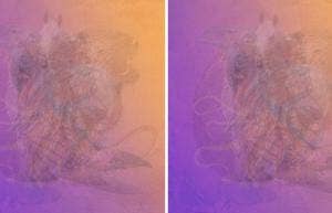 personality test true self animals