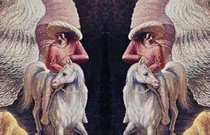 what you're like in love optical illusion