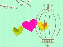 twitter birds in love