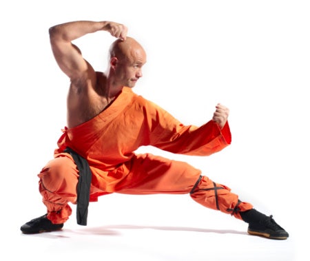 Martial Artist Crouching